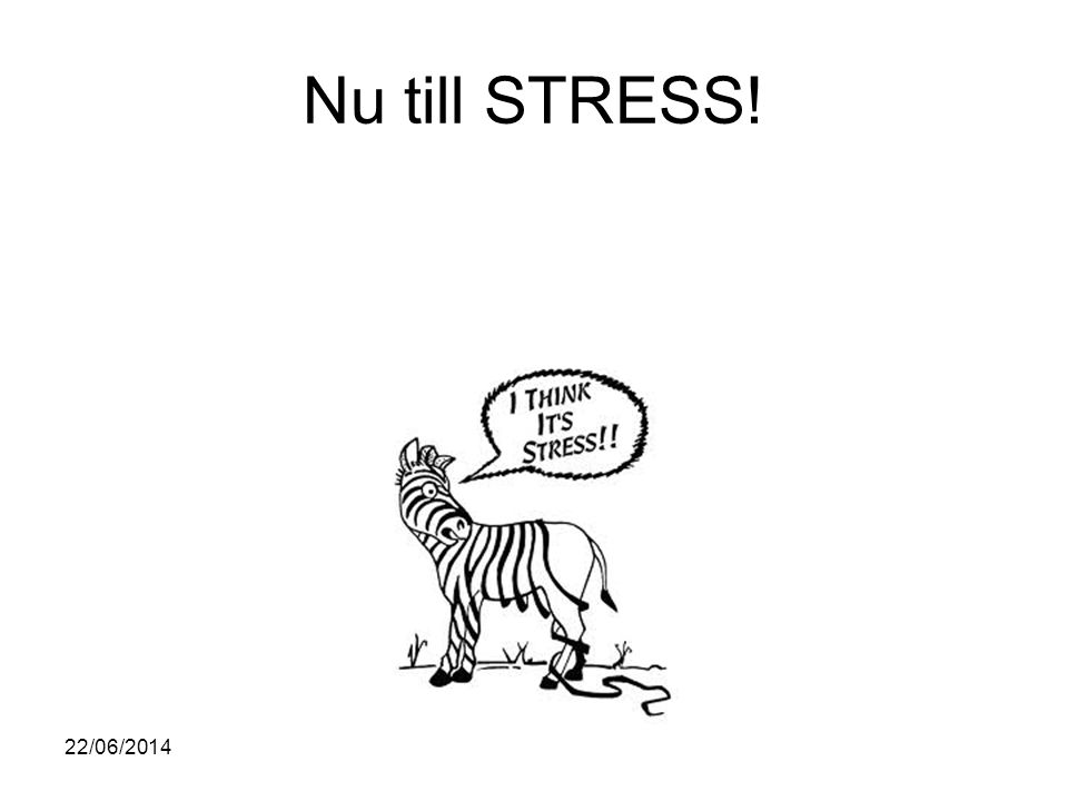 Nu till STRESS! 03/04/2017
