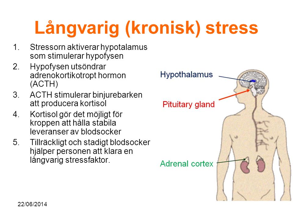 Långvarig (kronisk) stress