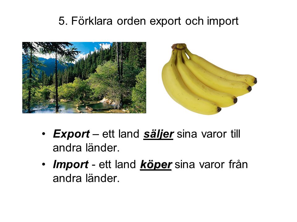 5. Förklara orden export och import