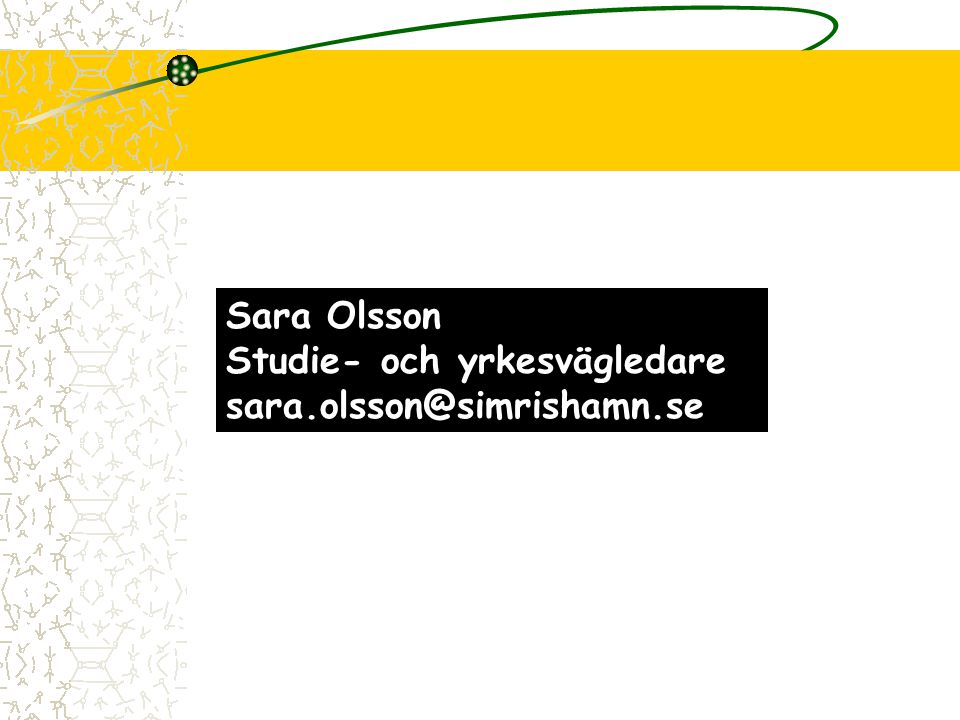 Sara Olsson Studie- och yrkesvägledare