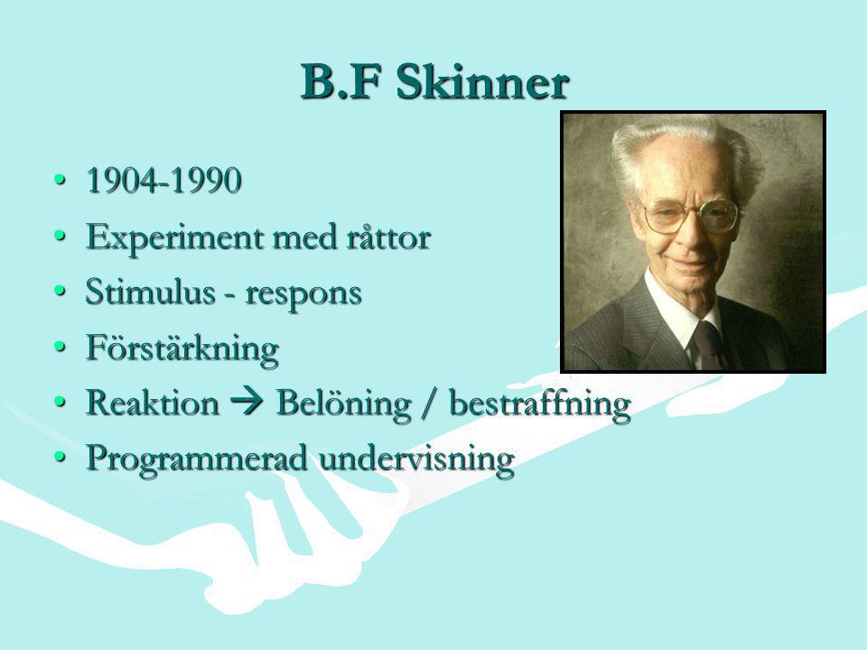 B.F Skinner Experiment med råttor Stimulus - respons
