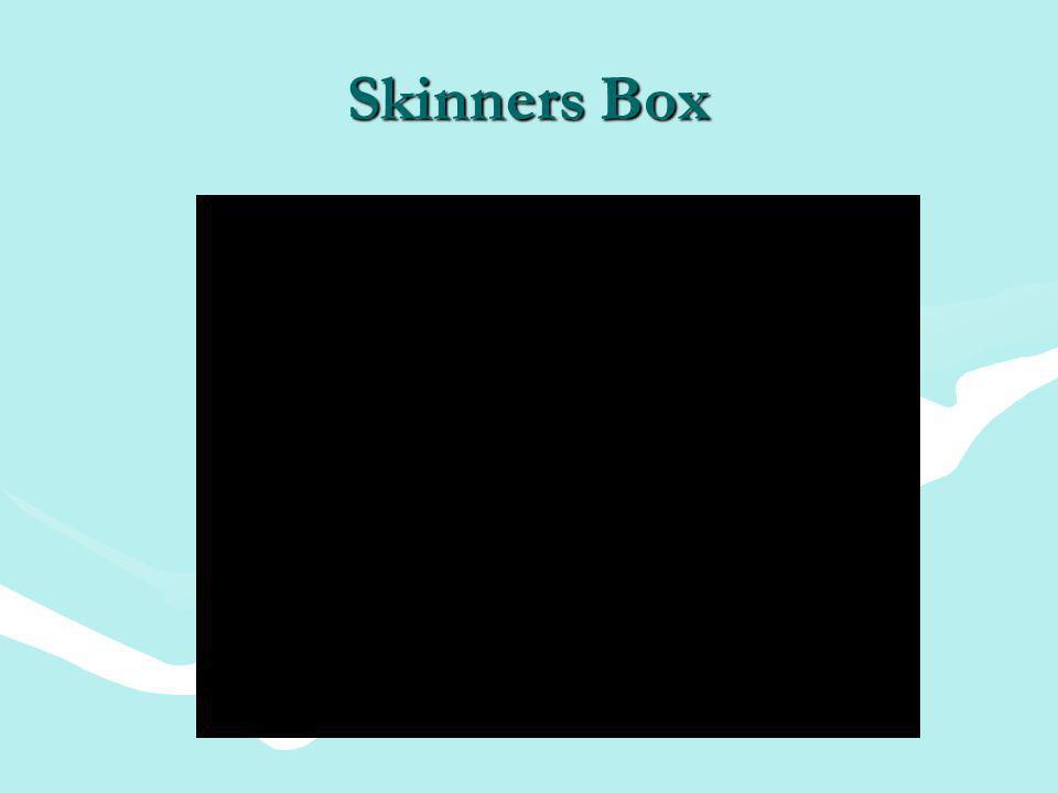 Skinners Box