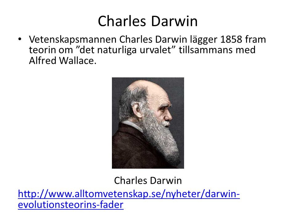 Charles Darwin Vetenskapsmannen Charles Darwin lägger 1858 fram teorin om det naturliga urvalet tillsammans med Alfred Wallace.