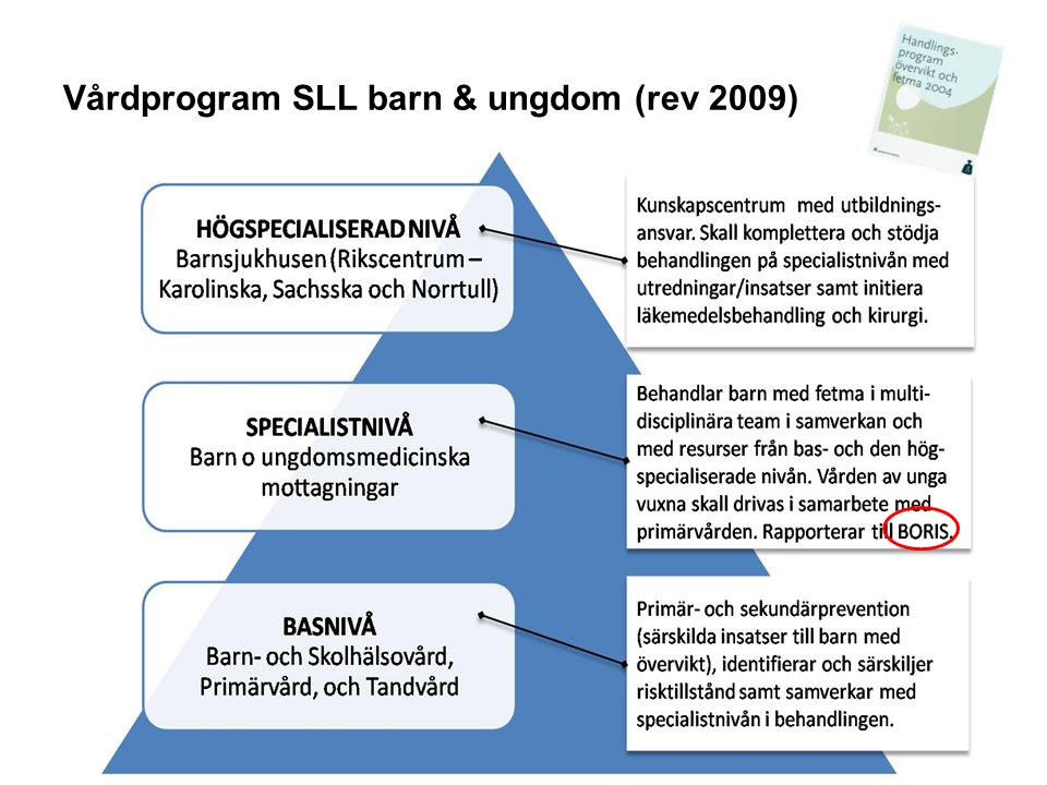 Vårdprogram SLL barn & ungdom (rev 2009)