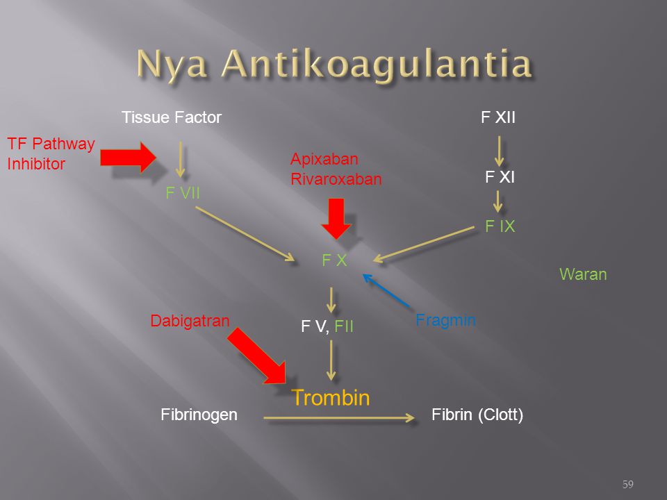 Nya Antikoagulantia Trombin Tissue Factor F XII TF Pathway Inhibitor