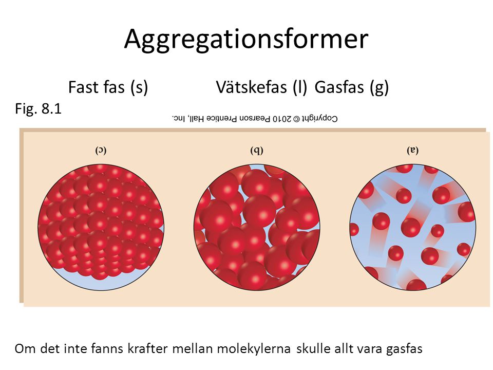 Aggregationsformer Fast fas (s) Vätskefas (l) Gasfas (g) Fig. 8.1