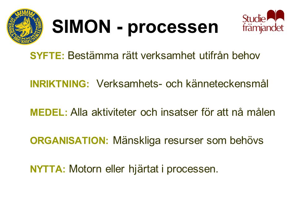 SIMON - processen