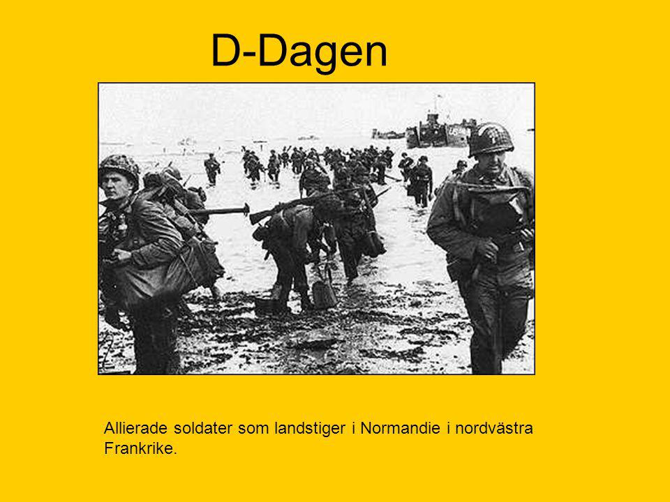D-Dagen Allierade soldater som landstiger i Normandie i nordvästra Frankrike.