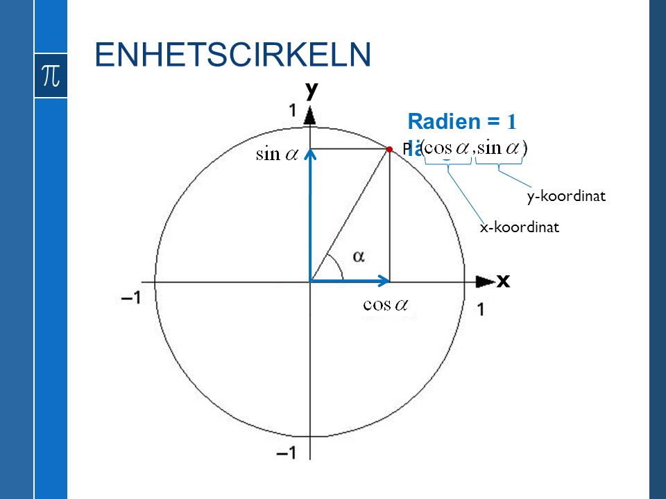 ENHETSCIRKELN y x Radien = 1 längdenhet ( ) P , y-koordinat