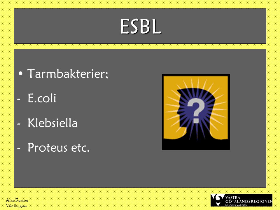 ESBL Tarmbakterier; E.coli Klebsiella Proteus etc. Aino Kempe