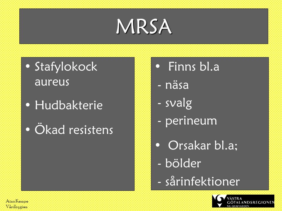 MRSA Stafylokock aureus Hudbakterie Ökad resistens Finns bl.a - näsa