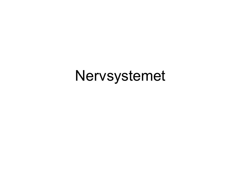 Nervsystemet