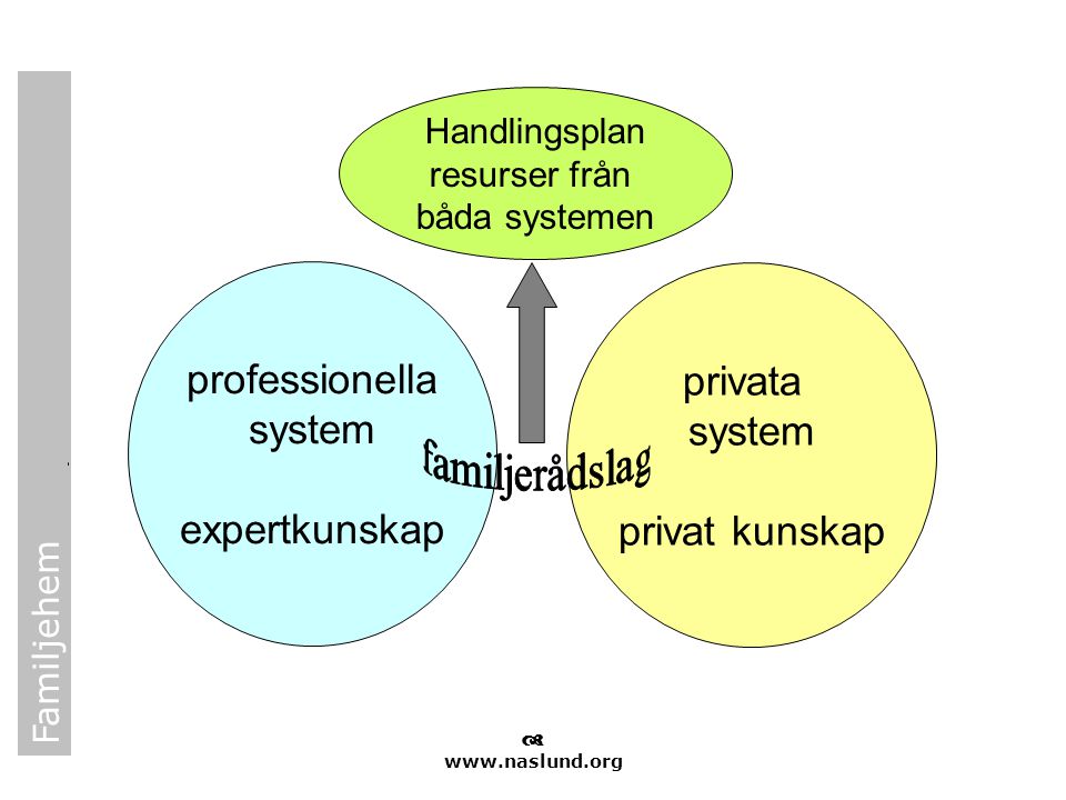professionella privata system system expertkunskap privat kunskap