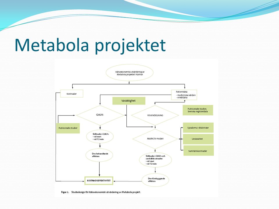 Metabola projektet