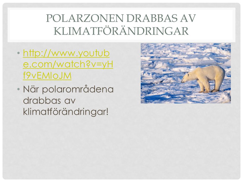 Polarzonen drabbas av klimatförändringar