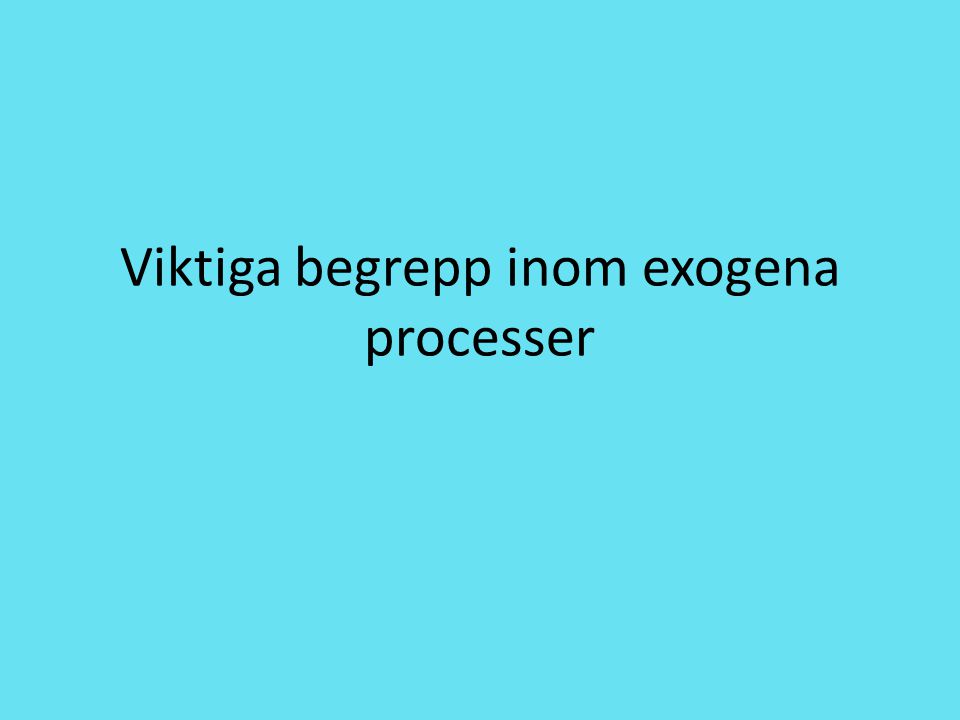Viktiga begrepp inom exogena processer