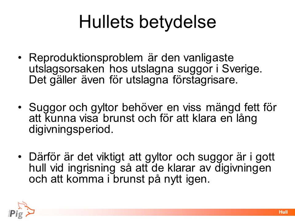 Hullets betydelse Reproduktionsproblem är den vanligaste utslagsorsaken hos utslagna suggor i Sverige. Det gäller även för utslagna förstagrisare.