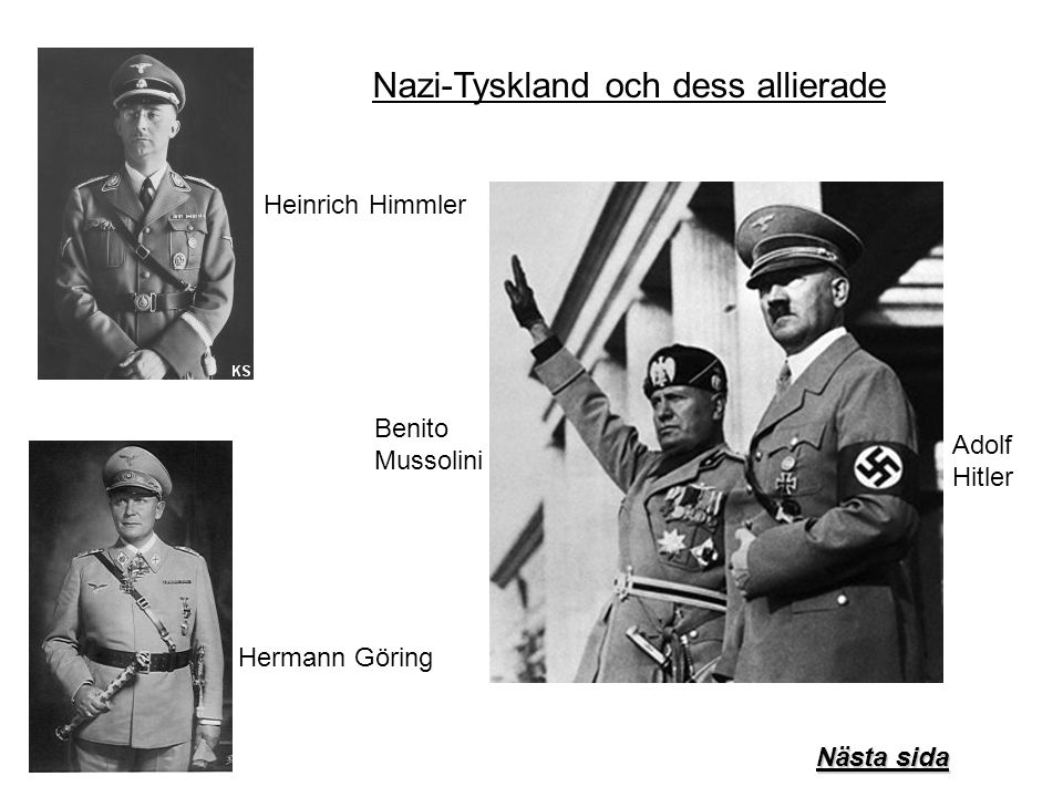 Nazi-Tyskland och dess allierade