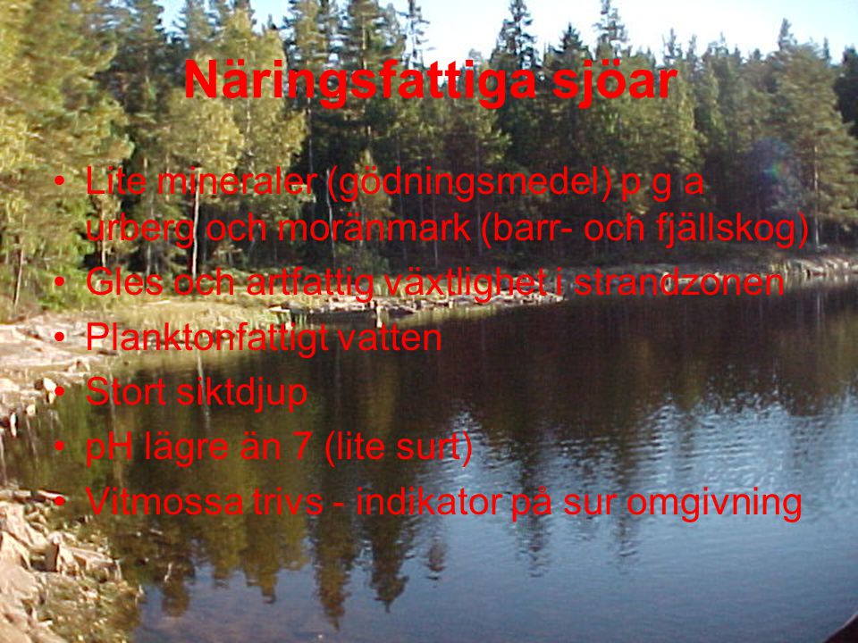 Näringsfattiga sjöar Lite mineraler (gödningsmedel) p g a urberg och moränmark (barr- och fjällskog)