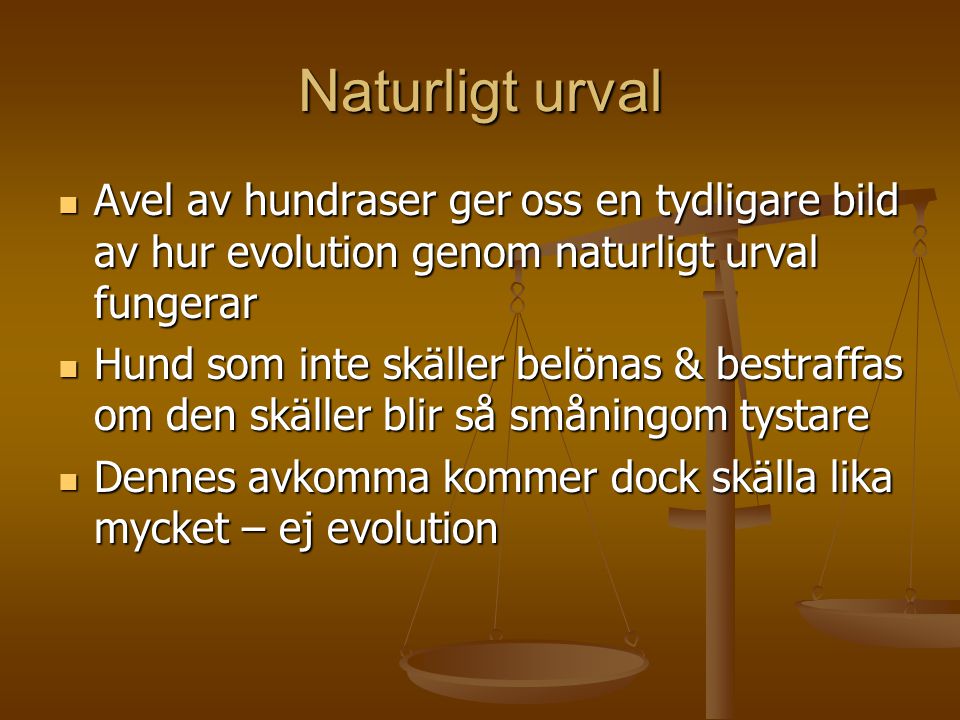 Naturligt urval Avel av hundraser ger oss en tydligare bild av hur evolution genom naturligt urval fungerar.
