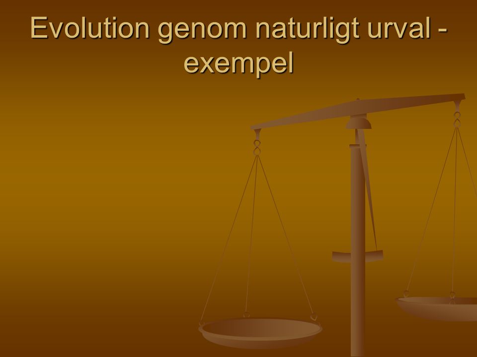 Evolution genom naturligt urval - exempel