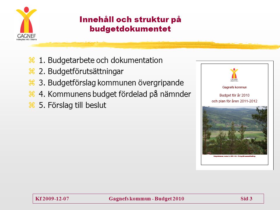 Innehåll och struktur på budgetdokumentet