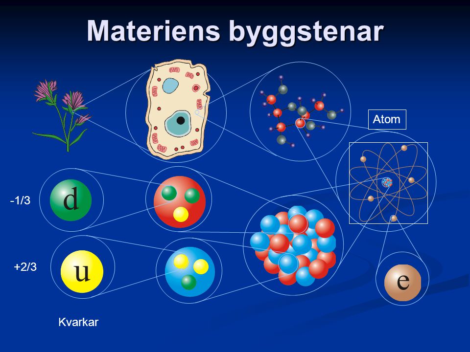 Materiens byggstenar Atom -1/3 +2/3 Kvarkar