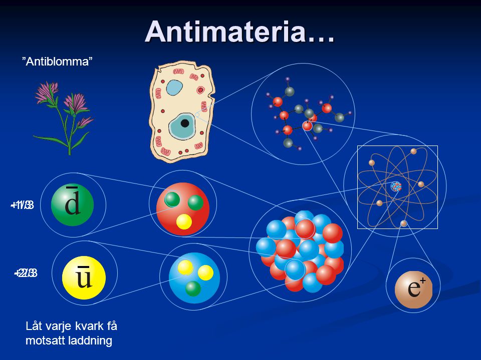 Antimateria… Antiblomma +1/3 -1/3 -2/3 +2/3 +