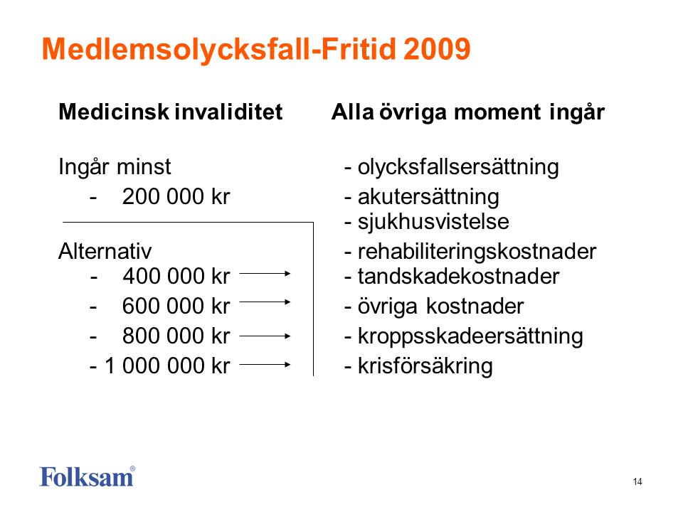 Medlemsolycksfall-Fritid 2009