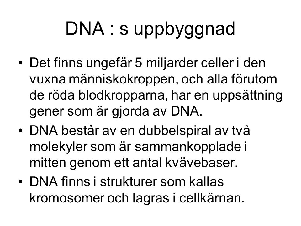 DNA : s uppbyggnad