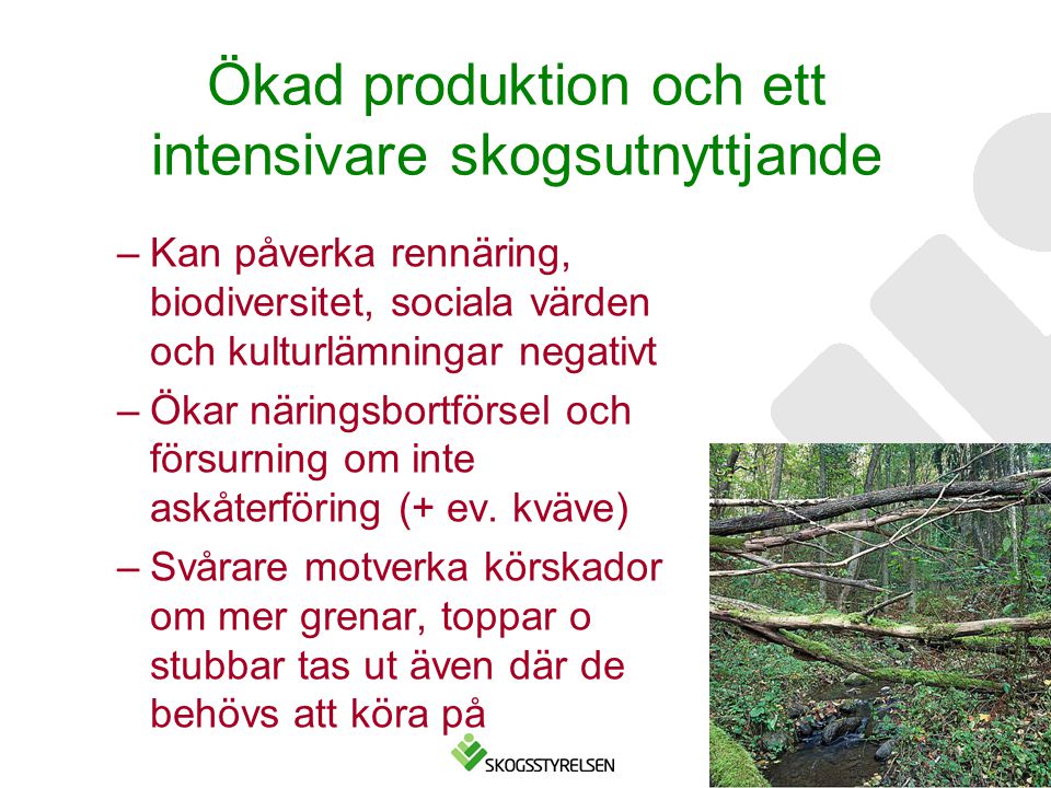 Ökad produktion och ett intensivare skogsutnyttjande
