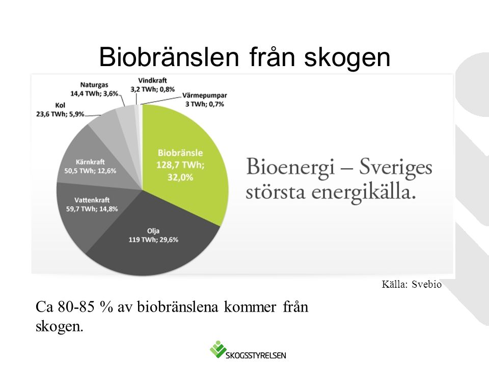 Biobränslen från skogen