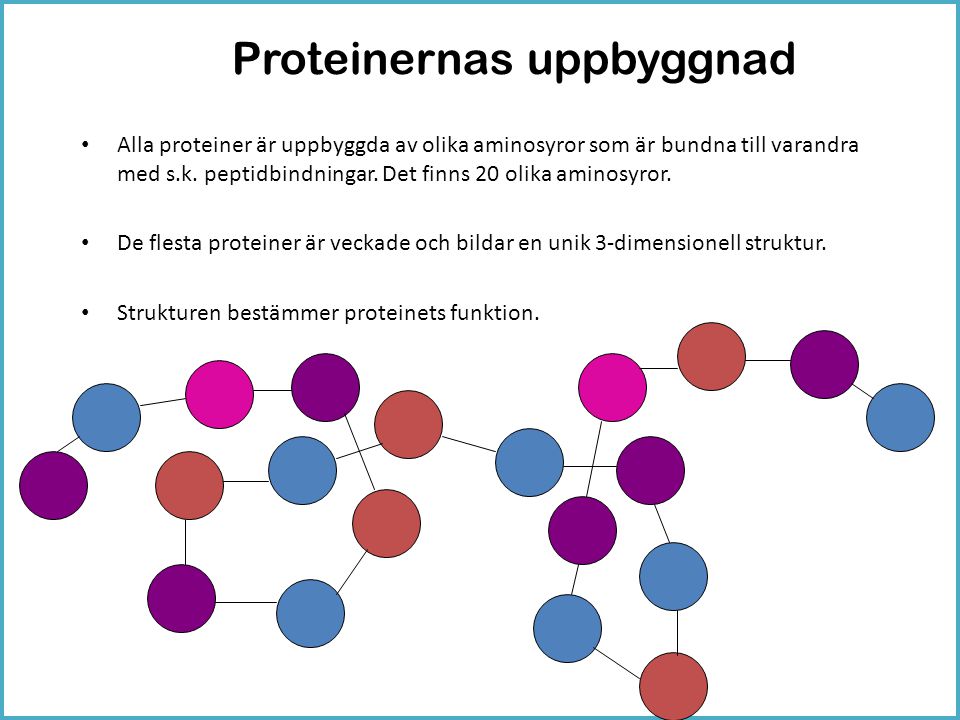 Proteinernas uppbyggnad