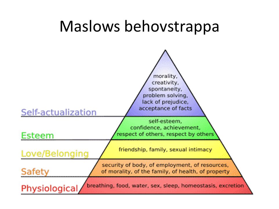 Maslows behovstrappa