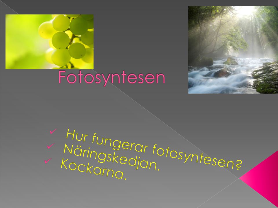 Hur fungerar fotosyntesen Näringskedjan. Kockarna.