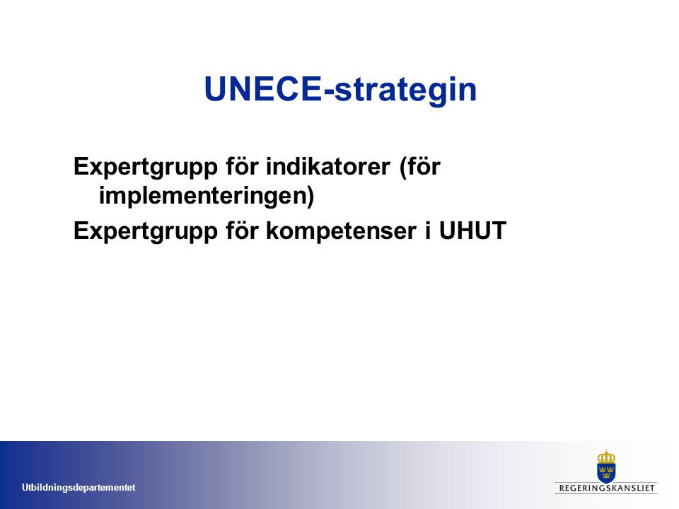 UNECE-strategin Expertgrupp för indikatorer (för implementeringen)