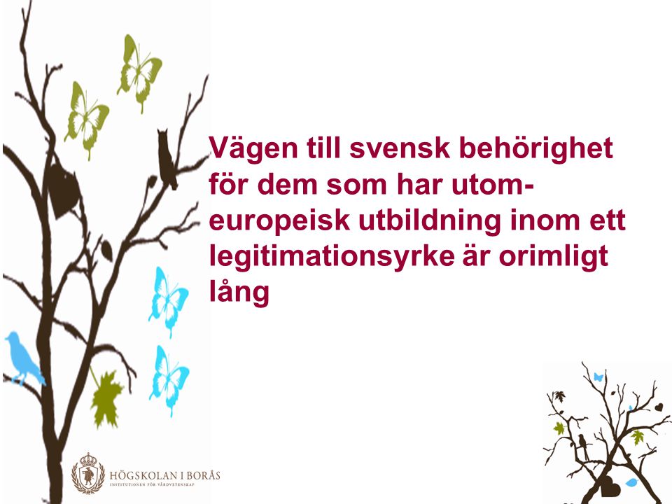 Vägen till svensk behörighet för dem som har utom-europeisk utbildning inom ett legitimationsyrke är orimligt lång