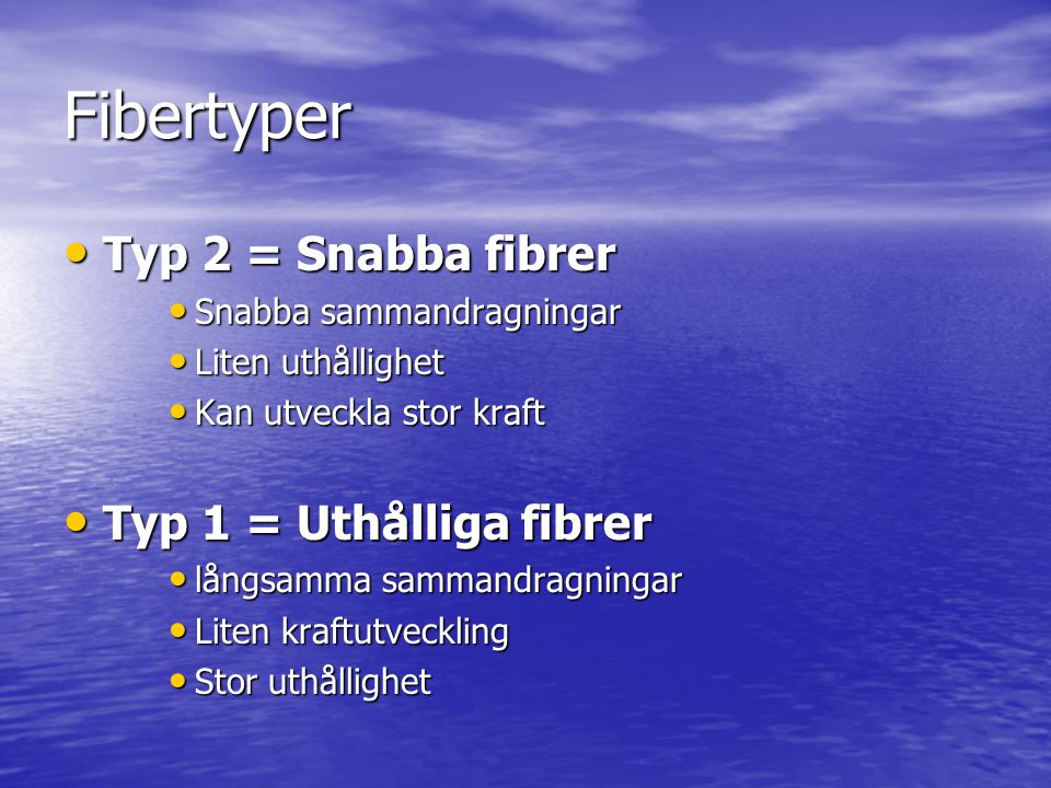 Fibertyper Typ 2 = Snabba fibrer Typ 1 = Uthålliga fibrer