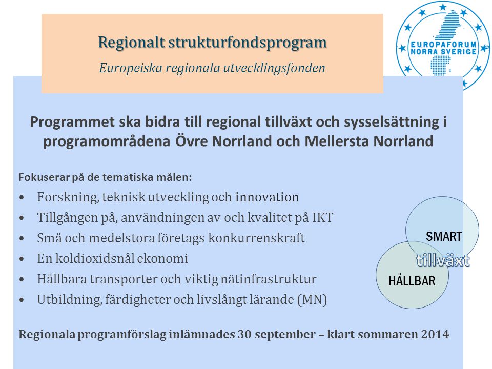 tillväxt Regionalt strukturfondsprogram