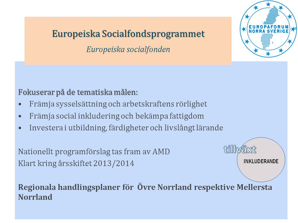 tillväxt Europeiska Socialfondsprogrammet Europeiska socialfonden