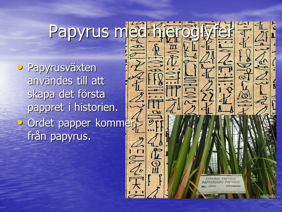 Papyrus med hieroglyfer