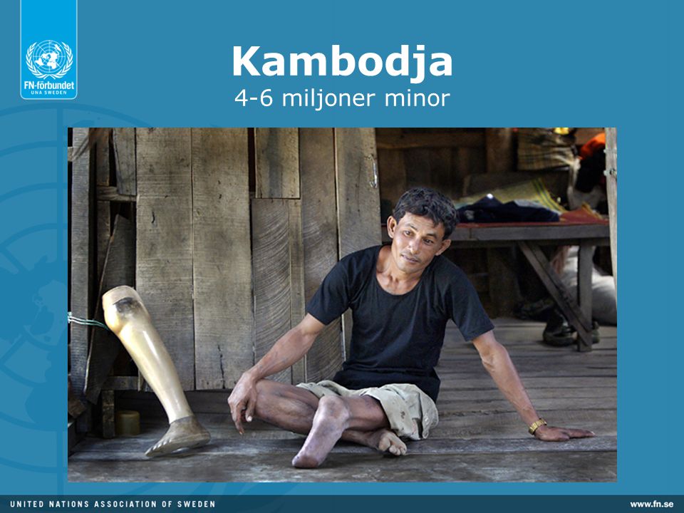 Kambodja 4-6 miljoner minor