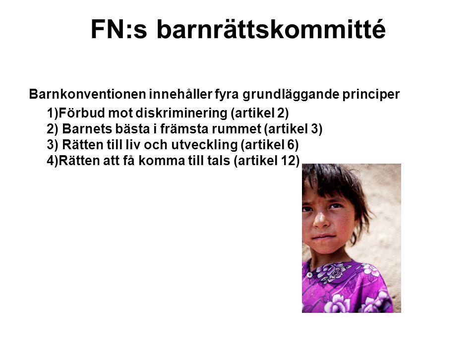 FN:s barnrättskommitté