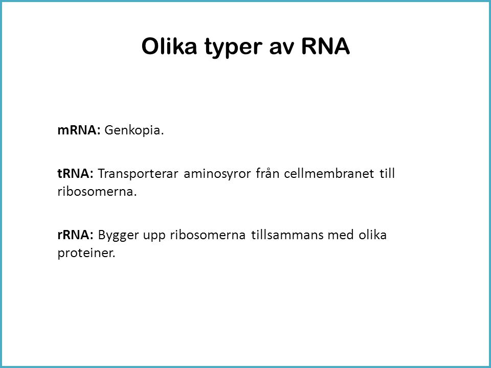 Olika typer av RNA