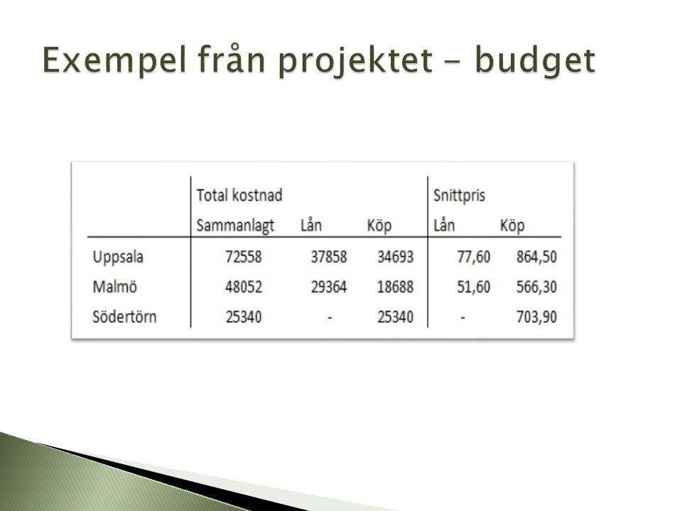 Exempel från projektet - budget