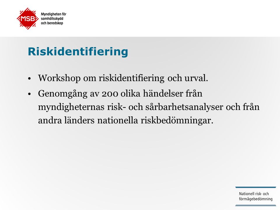 Riskidentifiering Workshop om riskidentifiering och urval.