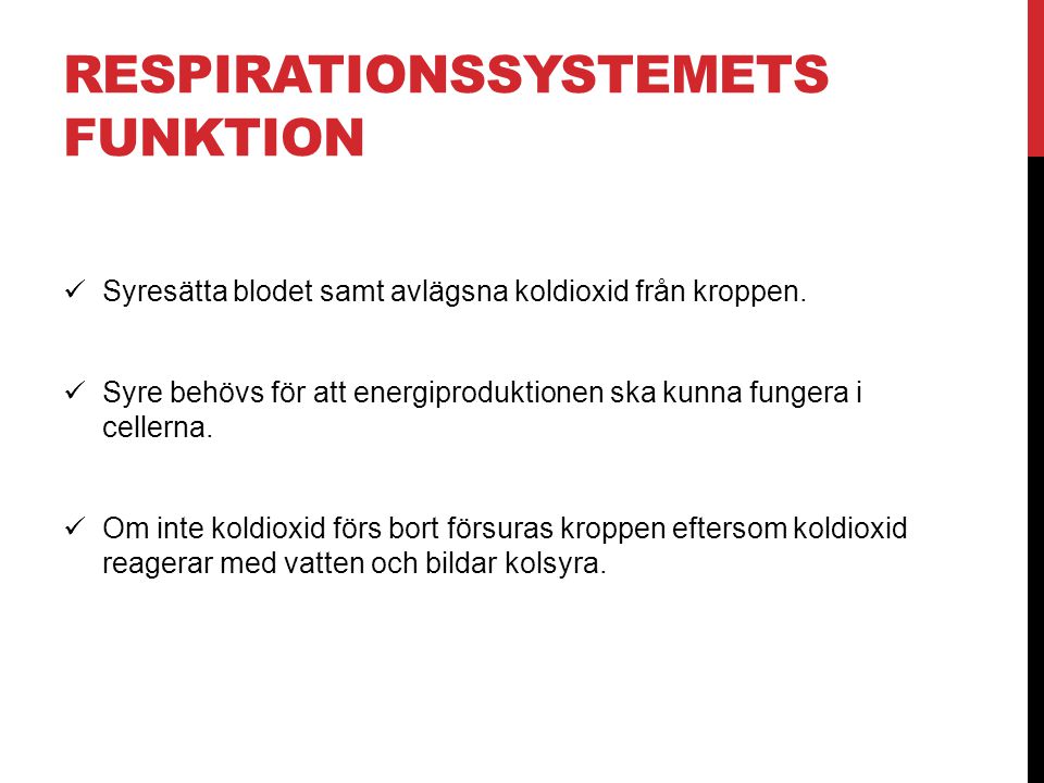 Respirationssystemets Funktion