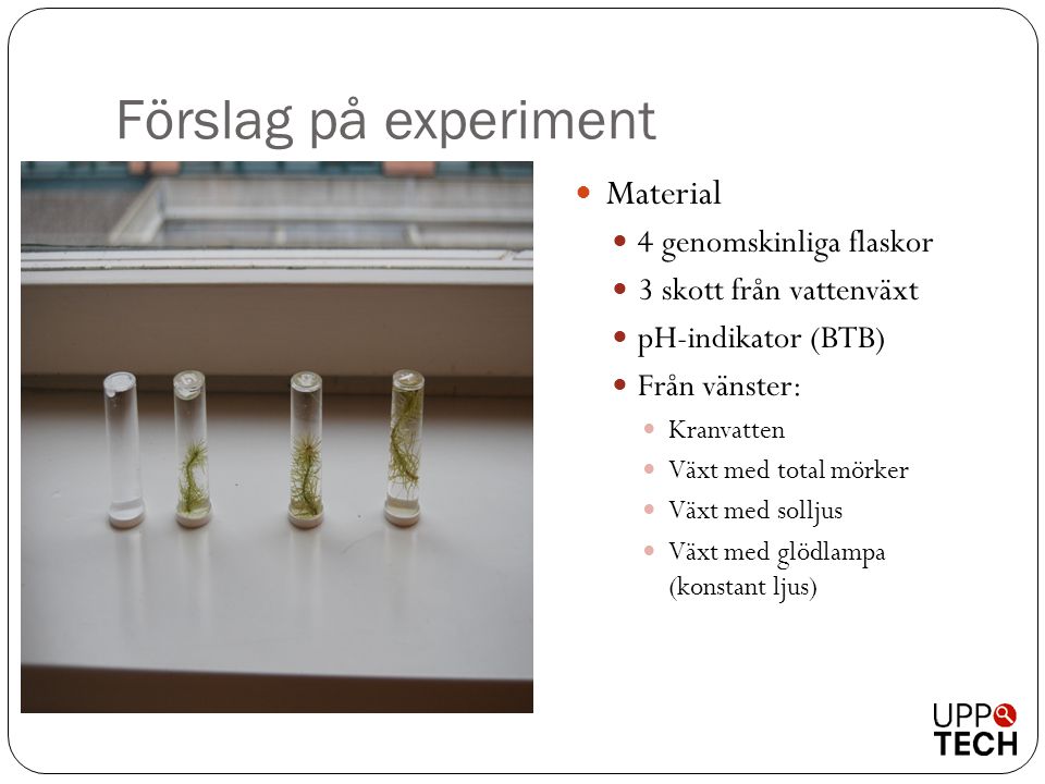 Förslag på experiment Material 4 genomskinliga flaskor