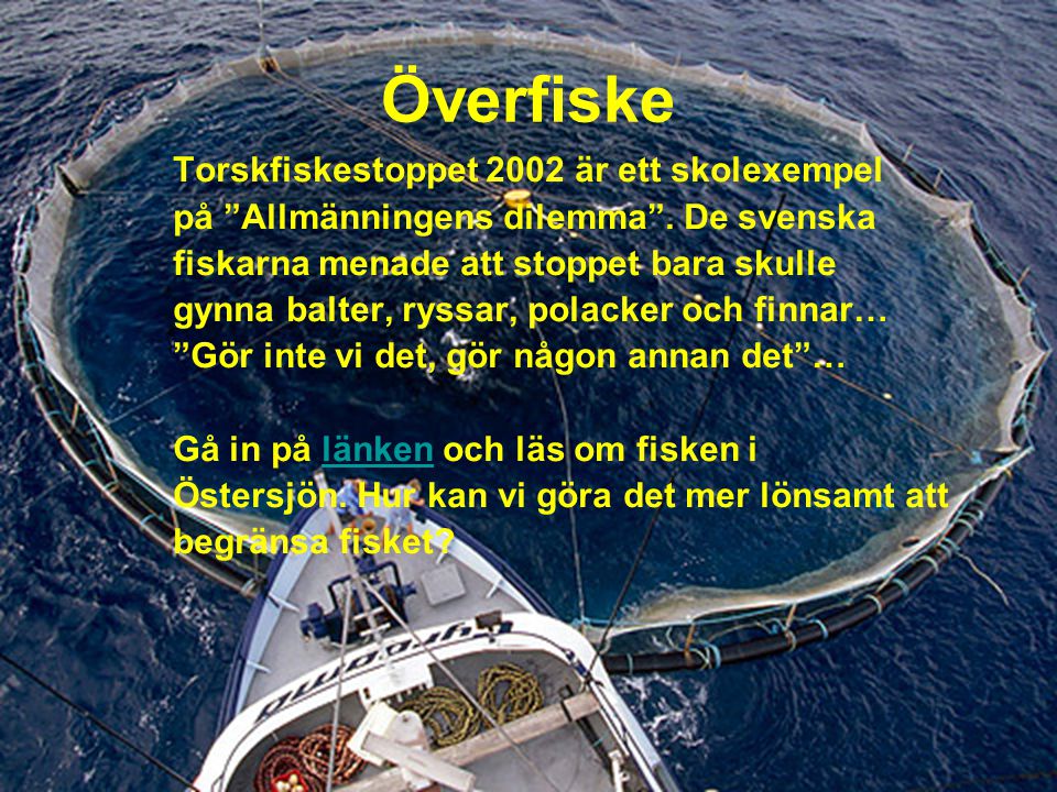 Överfiske Torskfiskestoppet 2002 är ett skolexempel