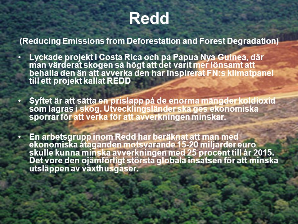 Redd (Reducing Emissions from Deforestation and Forest Degradation)